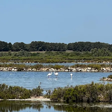 Sa Calma Marina A Tranquil Mediterranean Retreat Chalé *
